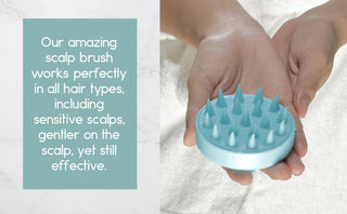 2-Pack Scalp Scrubber & Hair Growth Massager